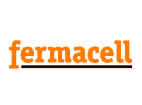 Chi Siamo